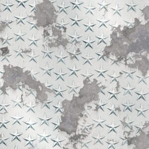 Corroded Star Plate Aluminum