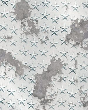 Corroded Star Plate Aluminum