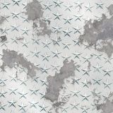 Corroded-Star-Plate-Aluminum-thumb.jpg