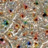 Costume-Jewelry-thumb.jpg