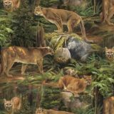 Cougars-in-the-Wild.jpg