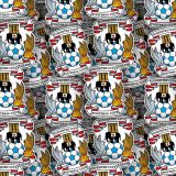 Coventry-City-FC.jpg