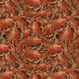Crab-22-1.jpg