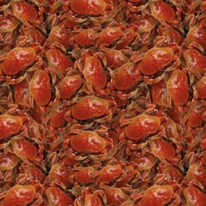 Crab 23