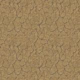Cracked-Dirt.jpg