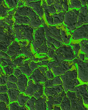 Cracked Lava Green