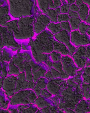 Cracked Lava Purple