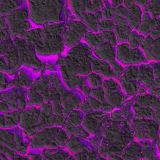 Cracked-Lava-Purple-thumb.jpg