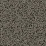 Cracked-Mud.jpg