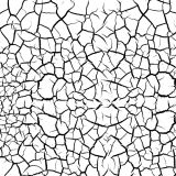 Cracklature-22-thumb.jpg