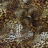 Crazy-Leopard.jpg