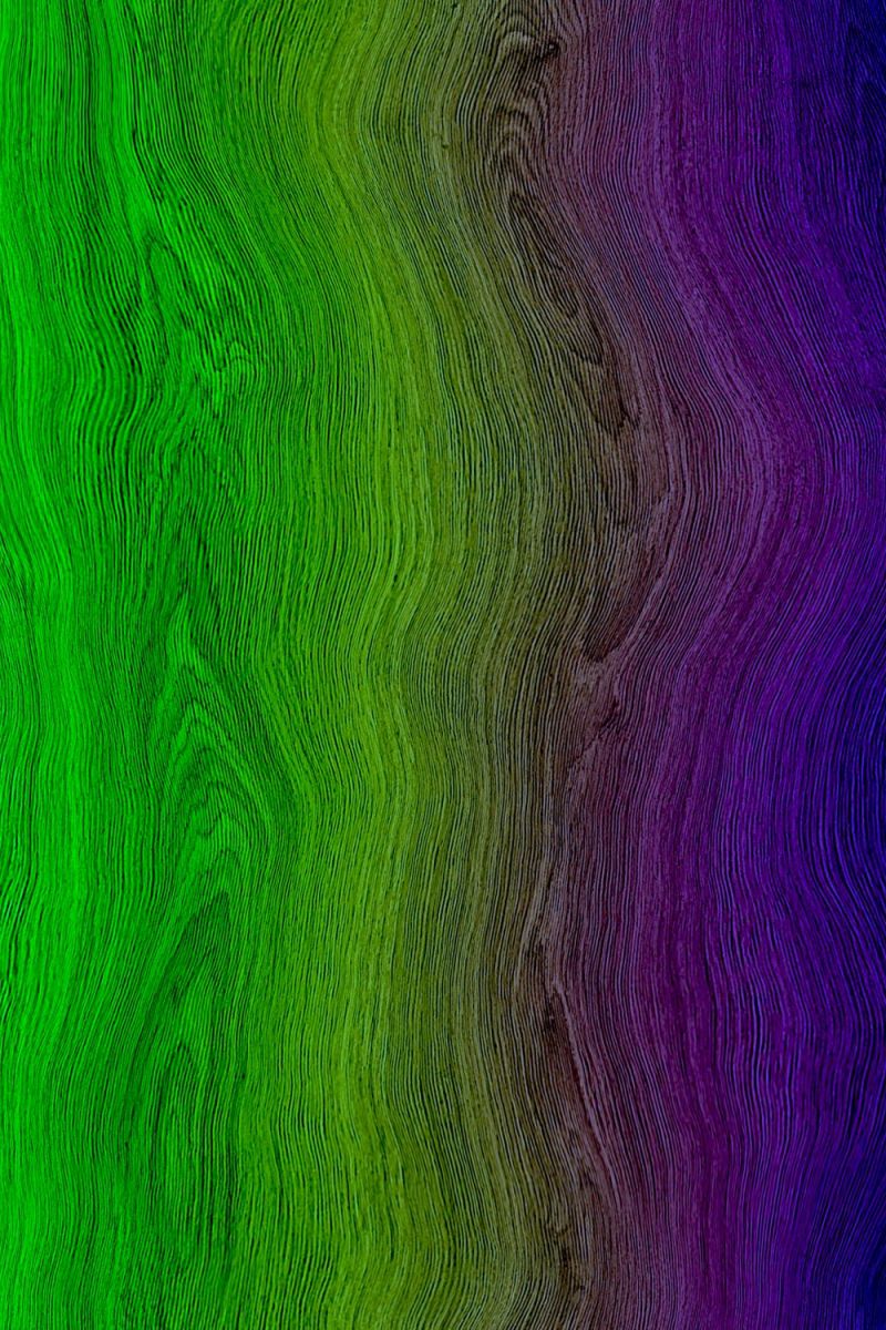 Crazy Wood