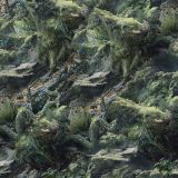 Critter-Camo.jpg