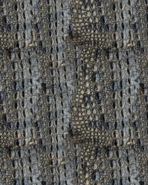Crocodile Skin 26