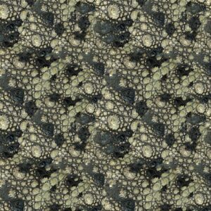 Crocodile Skin 29