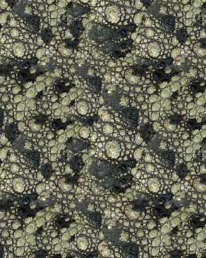 Crocodile Skin 29