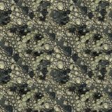 Crocodile-Skin-29.jpg