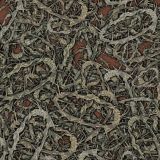Crown-of-Thorns-Camo.jpg