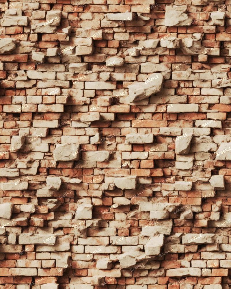 Crumbling Brick Wall 24