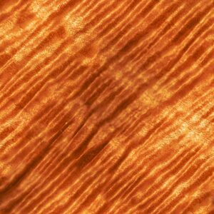 Curly Maple Woodgrain 25