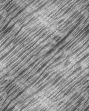 Curly Maple Woodgrain 24 Grayscale