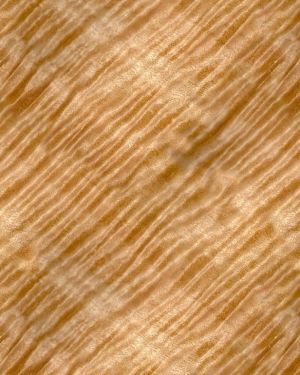 Curly Maple Woodgrain 24