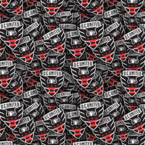 D.C. United 22