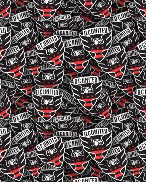 D.C. United 22