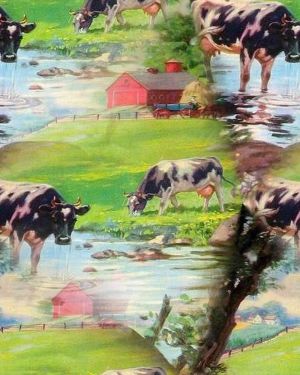 Dairy Farm 22
