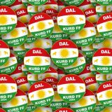Dalkurd-FF.jpg