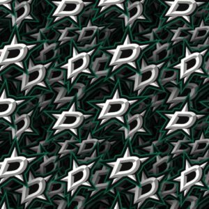 Dallas Stars 22