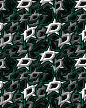 Dallas Stars 22