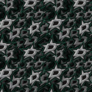 Dallas Stars 23