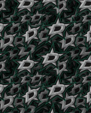 Dallas Stars 23