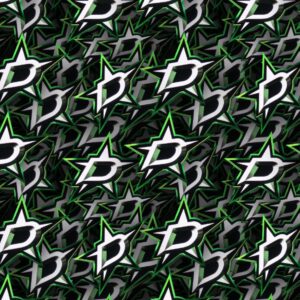 Dallas Stars 24