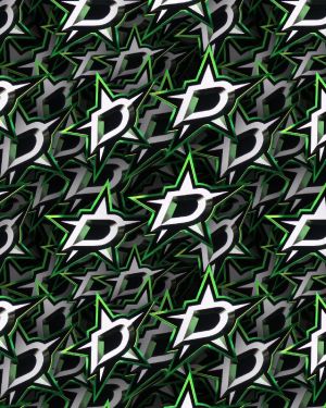 Dallas Stars 24