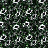 Dallas-Stars-24.jpg