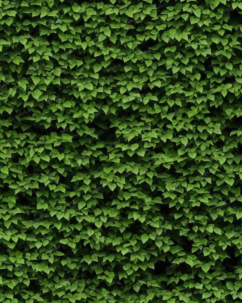 Dark Bush 42