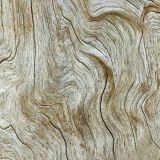 Deadwood-thumb.jpg