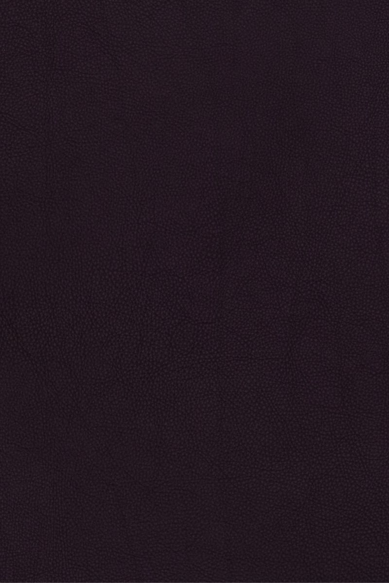 Deep Purple Leather