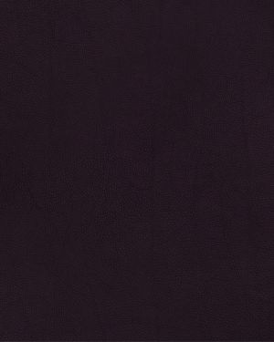 Deep Purple Leather