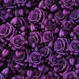 Deep-Purple-Roses.jpg