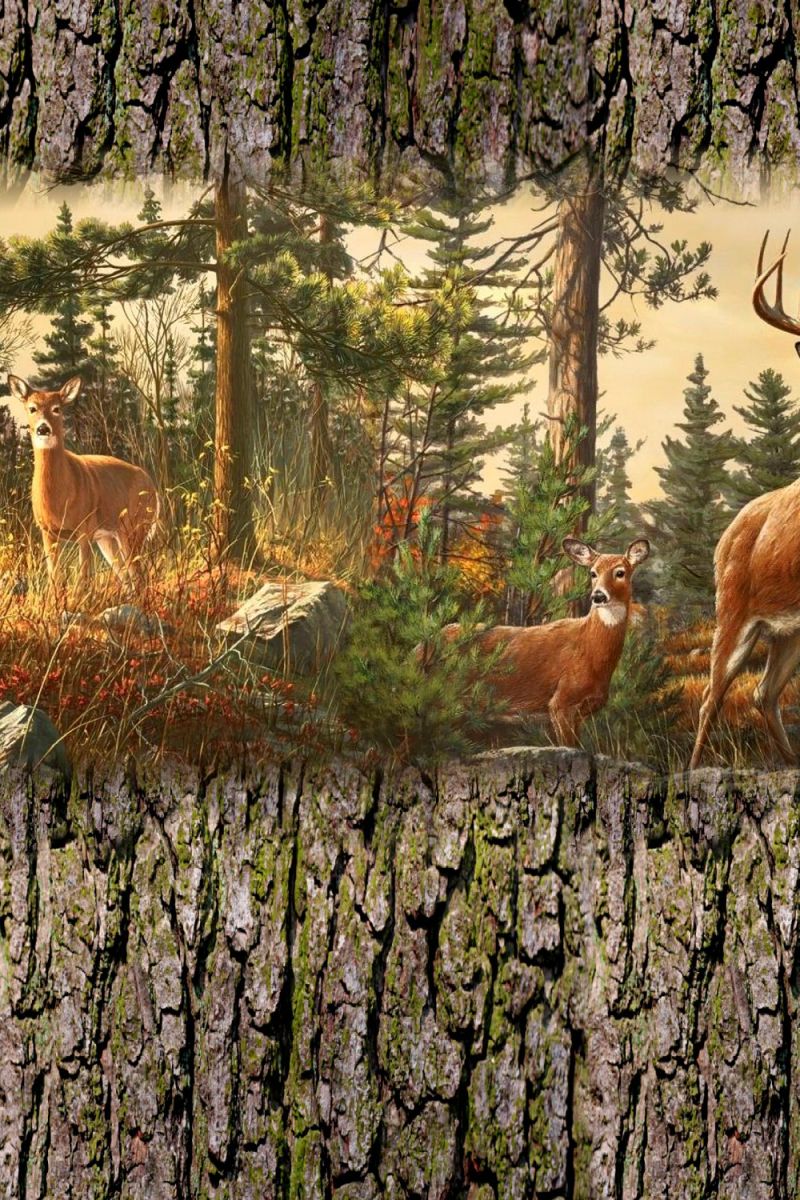 Deer Alert