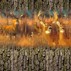 Deer Family