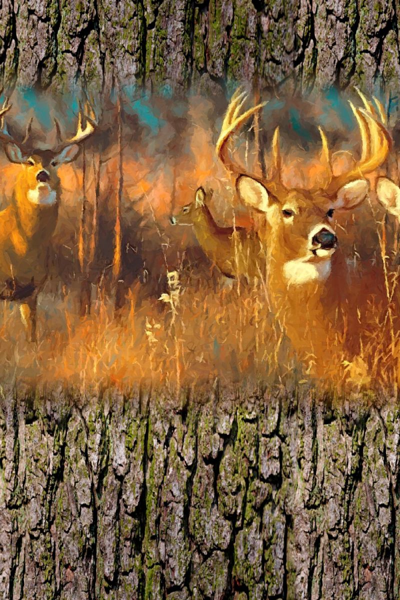 Deer Family