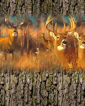 Deer Family