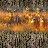 Deer-Family.jpg