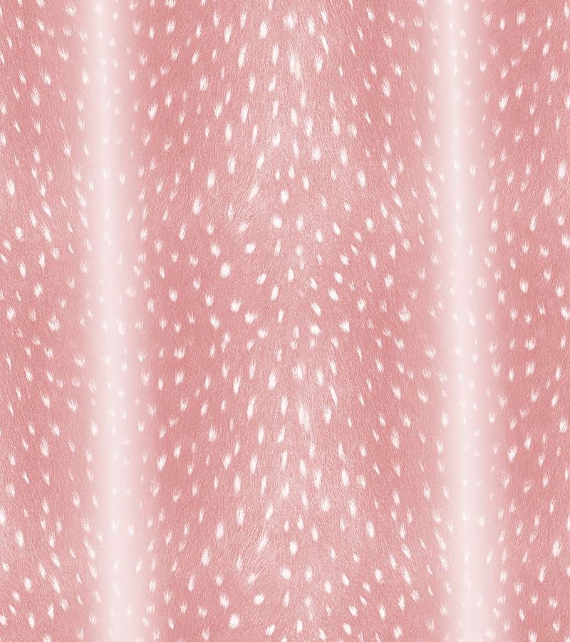Deer Fawn Fur 33