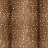 Deer-Fawn-Fur.jpg