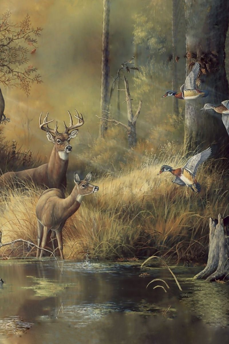 Deer Jungle